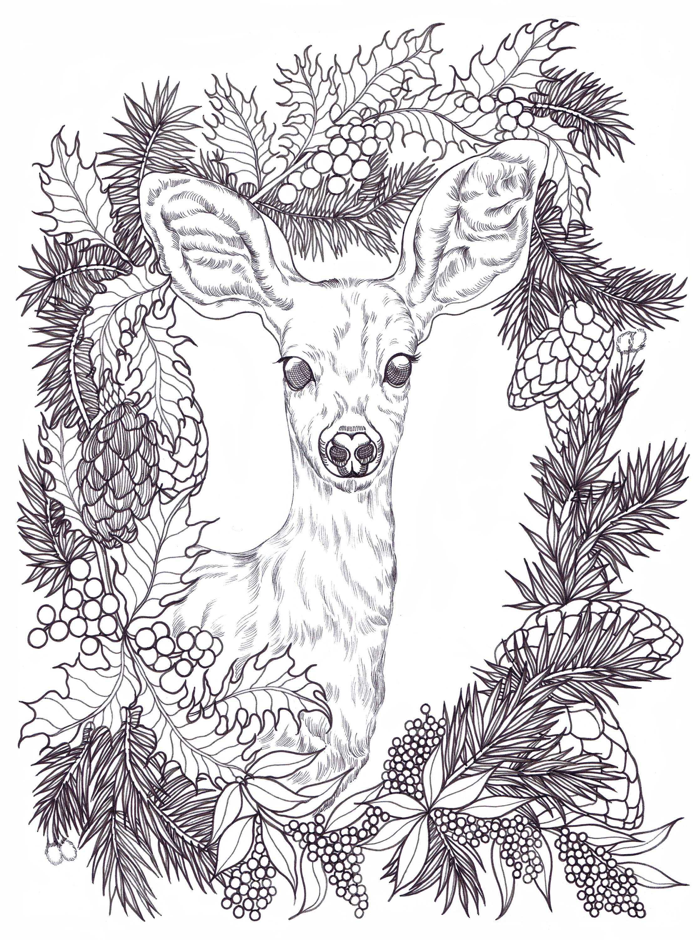 150+ Deer Coloring Pages 1