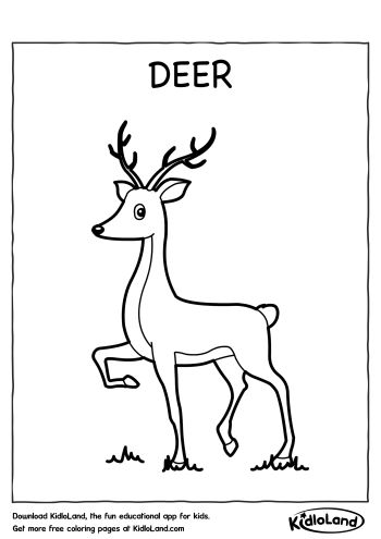 150+ Deer Coloring Pages 129