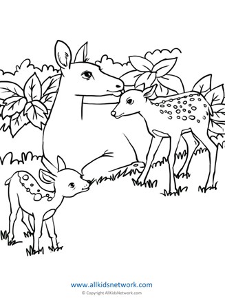 150+ Deer Coloring Pages 132