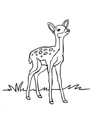 150+ Deer Coloring Pages 134