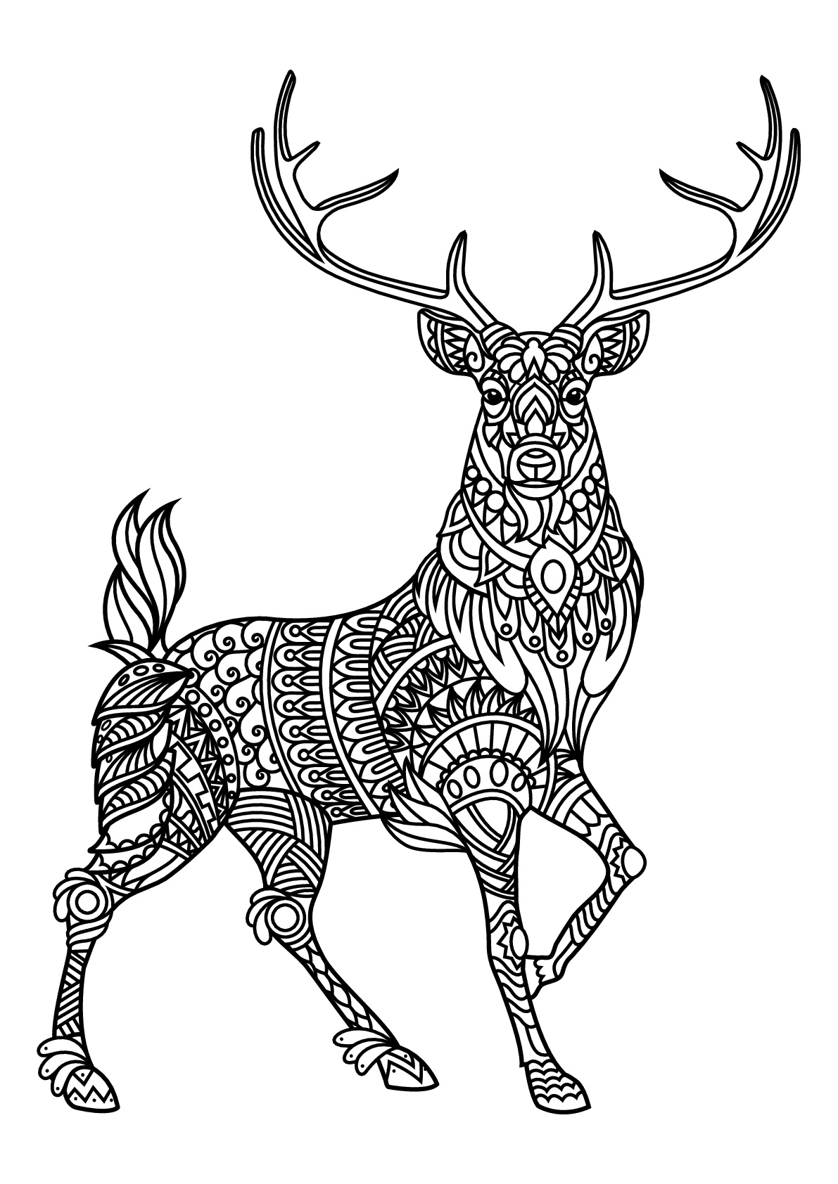 150+ Deer Coloring Pages 14