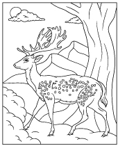 150+ Deer Coloring Pages 155