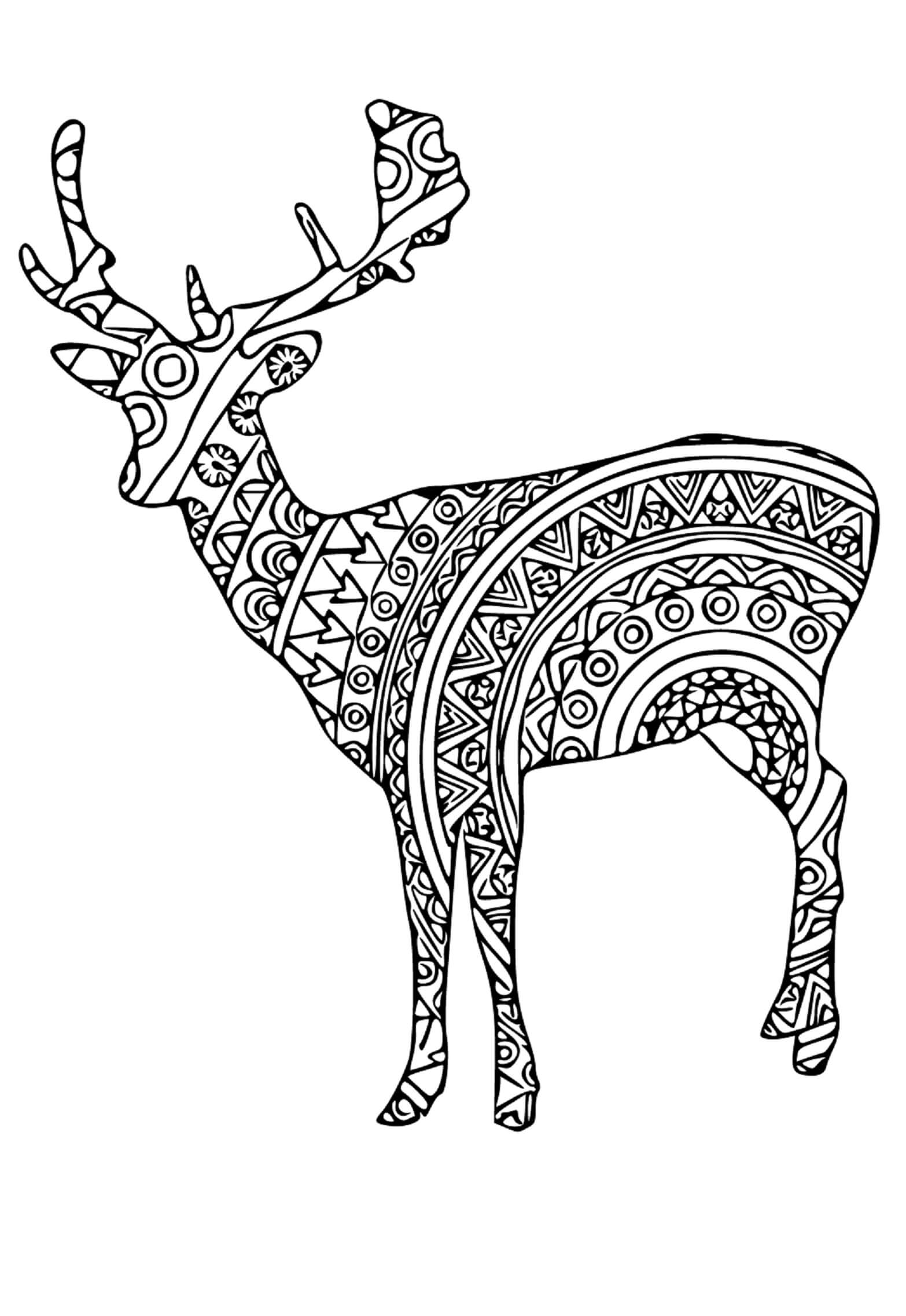 150+ Deer Coloring Pages 4