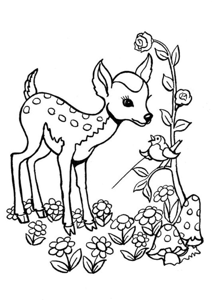 150+ Deer Coloring Pages 49