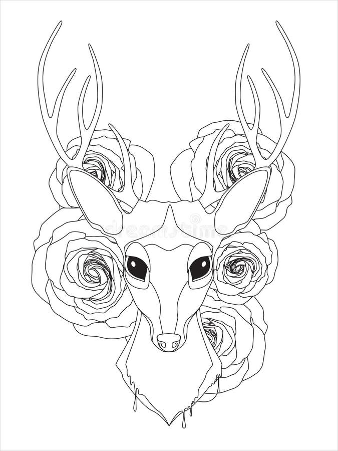 150+ Deer Coloring Pages 60