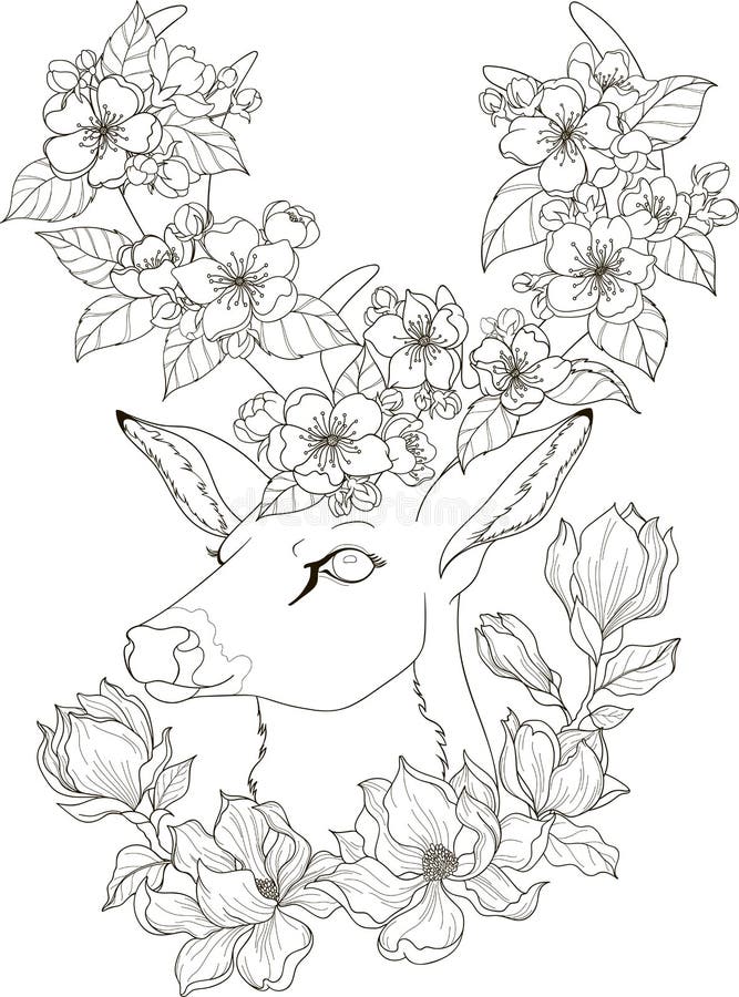 150+ Deer Coloring Pages 61