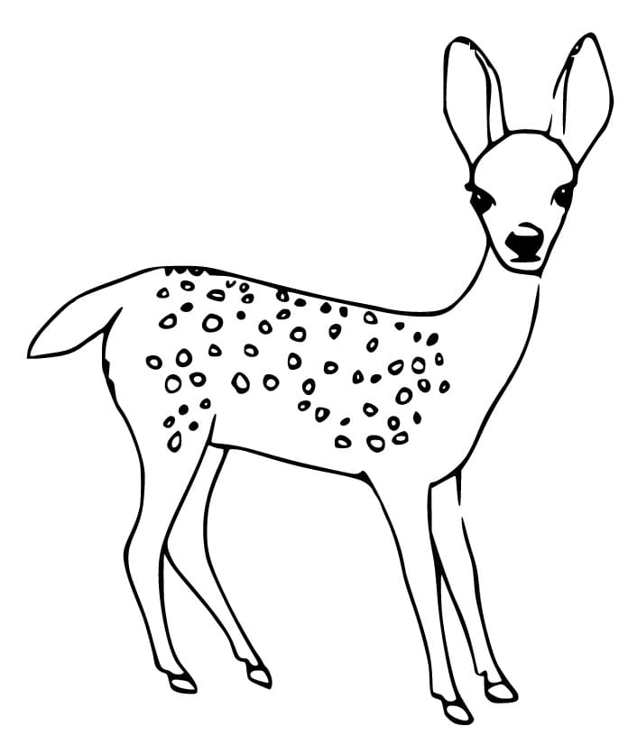 150+ Deer Coloring Pages 62