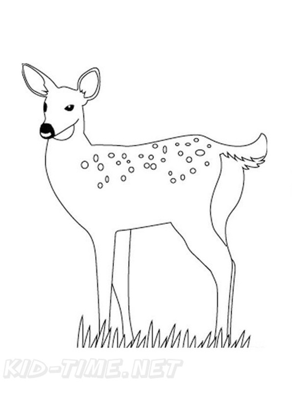 150+ Deer Coloring Pages 73