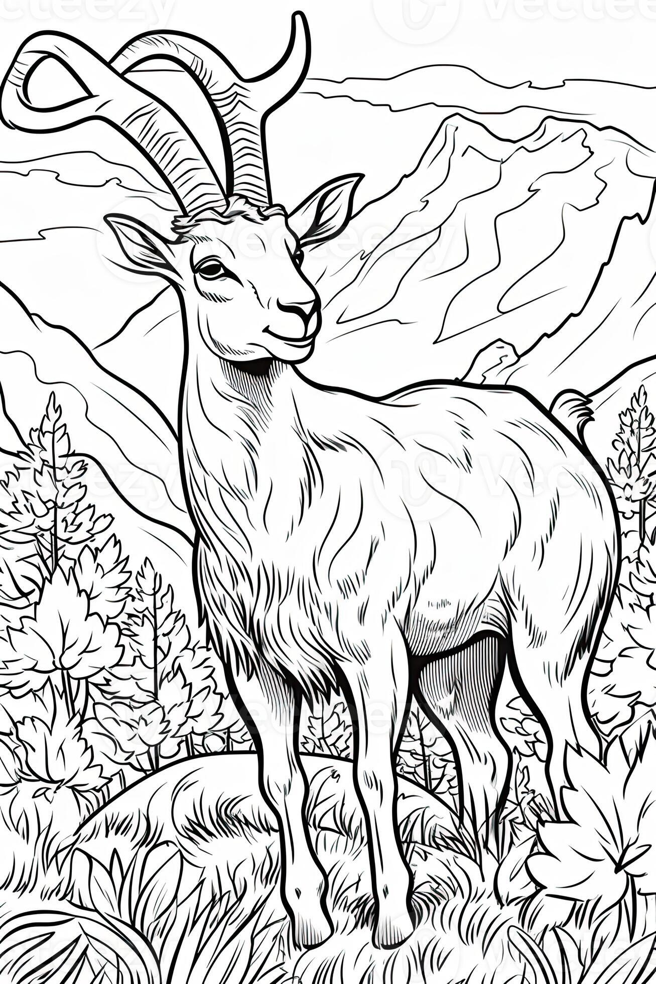 150+ Deer Coloring Pages 8