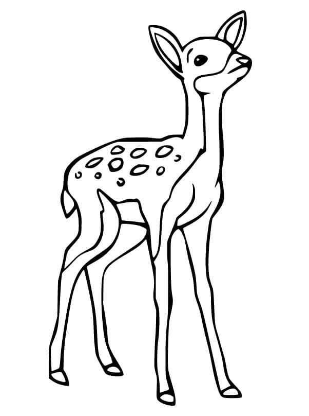 150+ Deer Coloring Pages 80