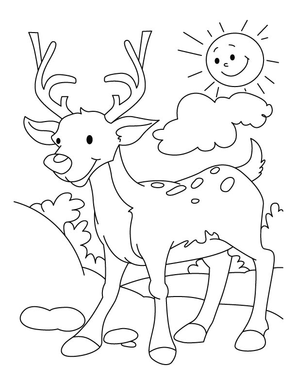 150+ Deer Coloring Pages 82