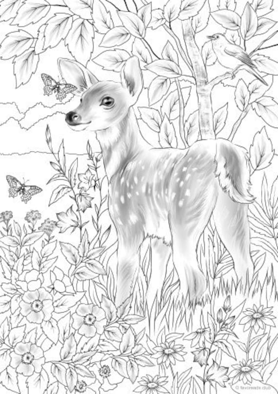 150+ Deer Coloring Pages 85