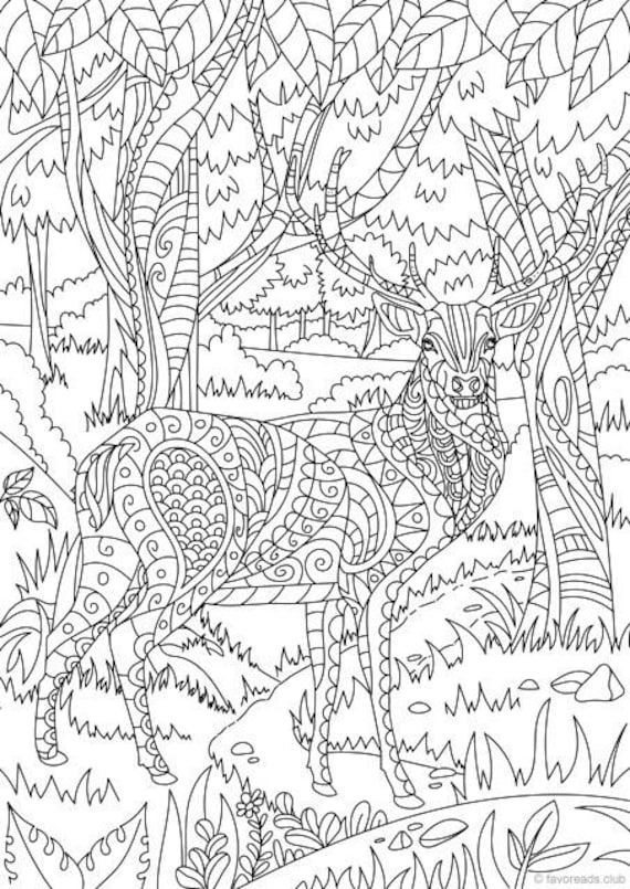 150+ Deer Coloring Pages 86