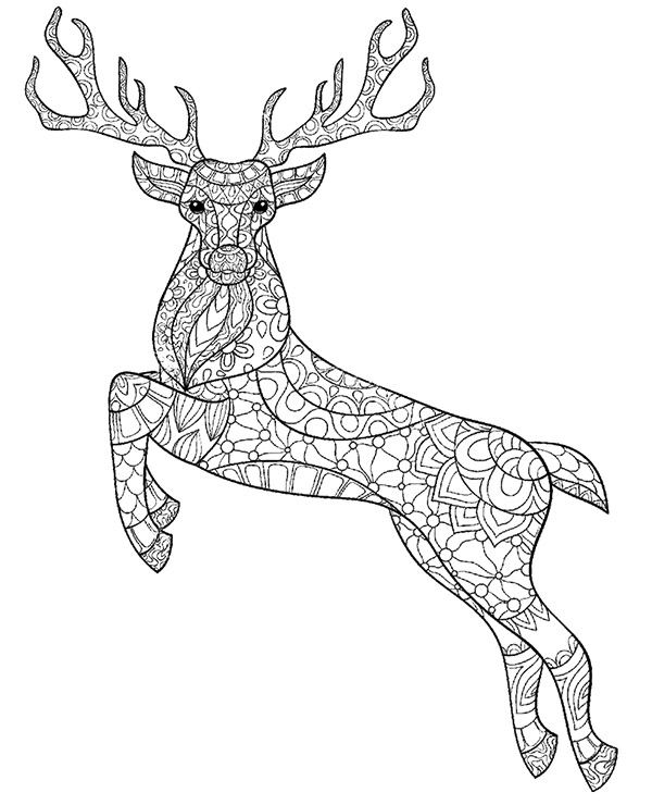 150+ Deer Coloring Pages 87