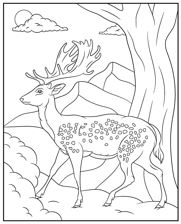 150+ Deer Coloring Pages 89