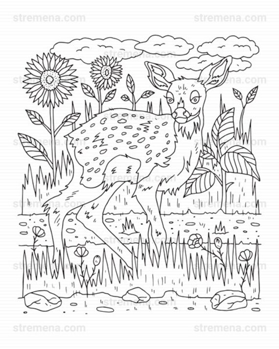 150+ Deer Coloring Pages 96