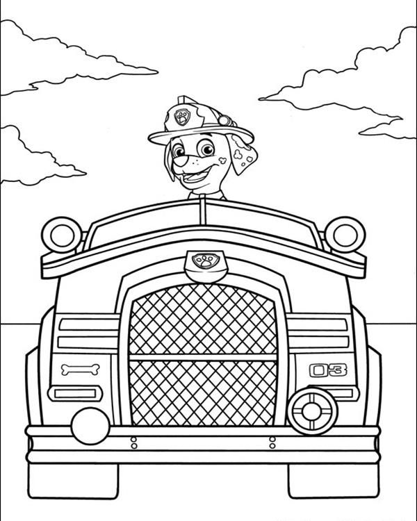 Paw Patrol Coloring Pages: 100+ Pawsome Coloring Fun 147