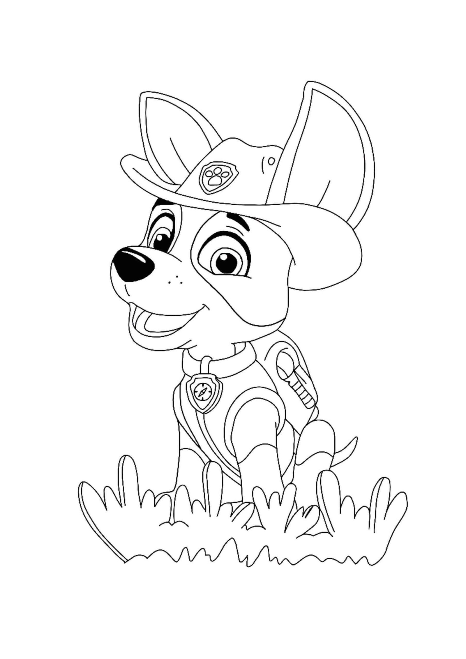 Paw Patrol Coloring Pages: 100+ Pawsome Coloring Fun 5