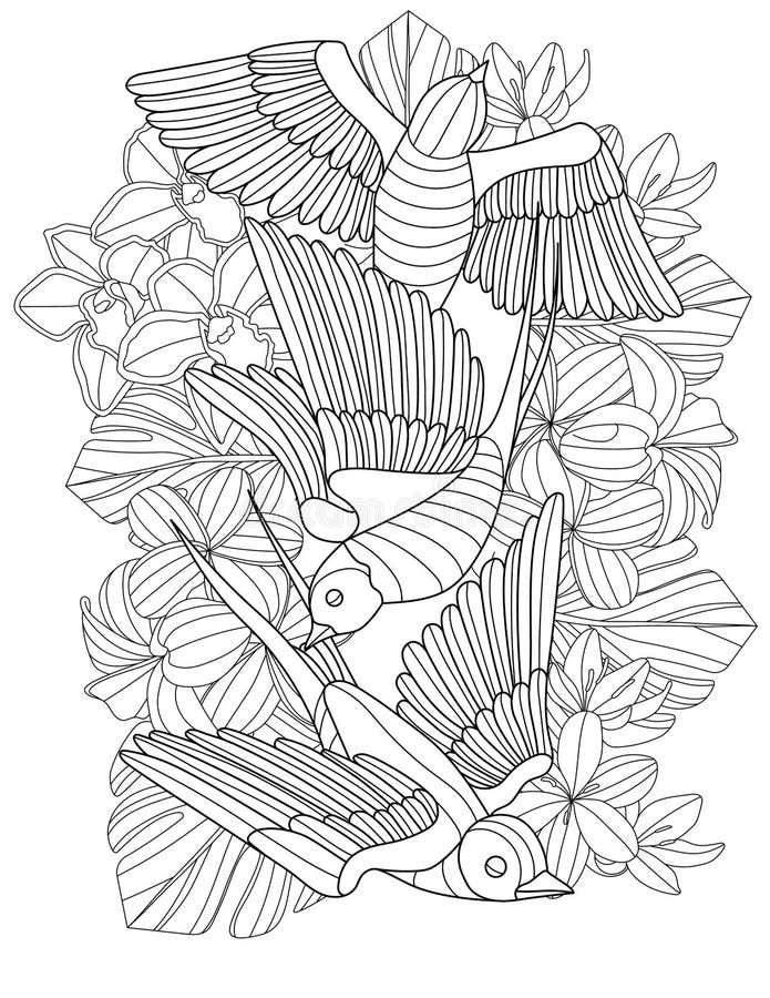 realistic griffin coloring pages printable jpg