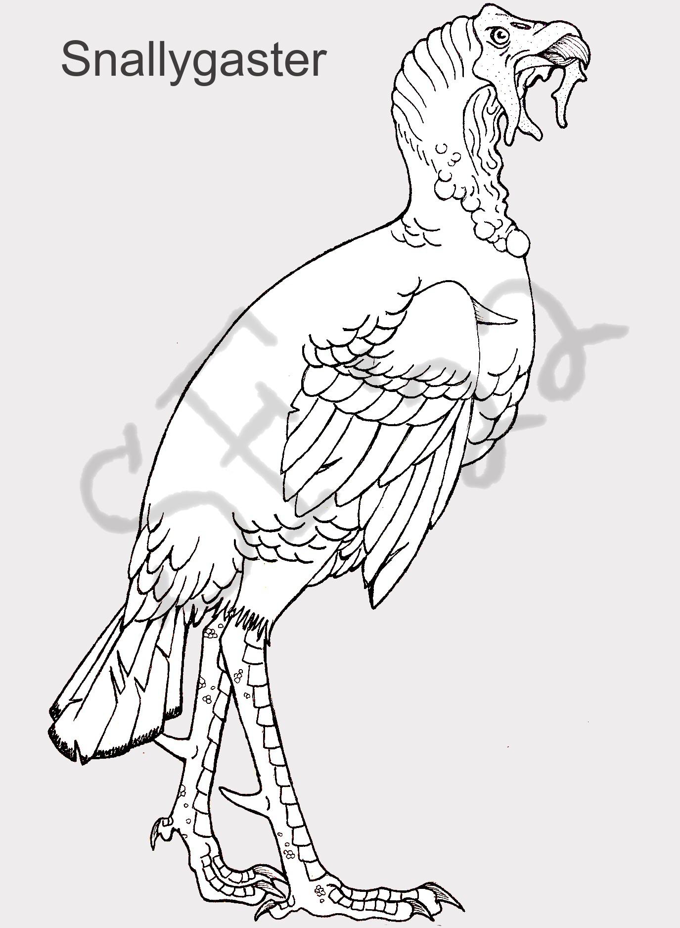 realistic griffin coloring pages printable jpg