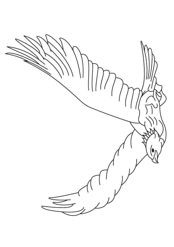 104 Realistic Griffin Coloring Pages Printable 26