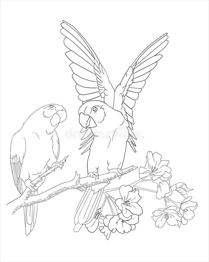 104 Realistic Griffin Coloring Pages Printable 40