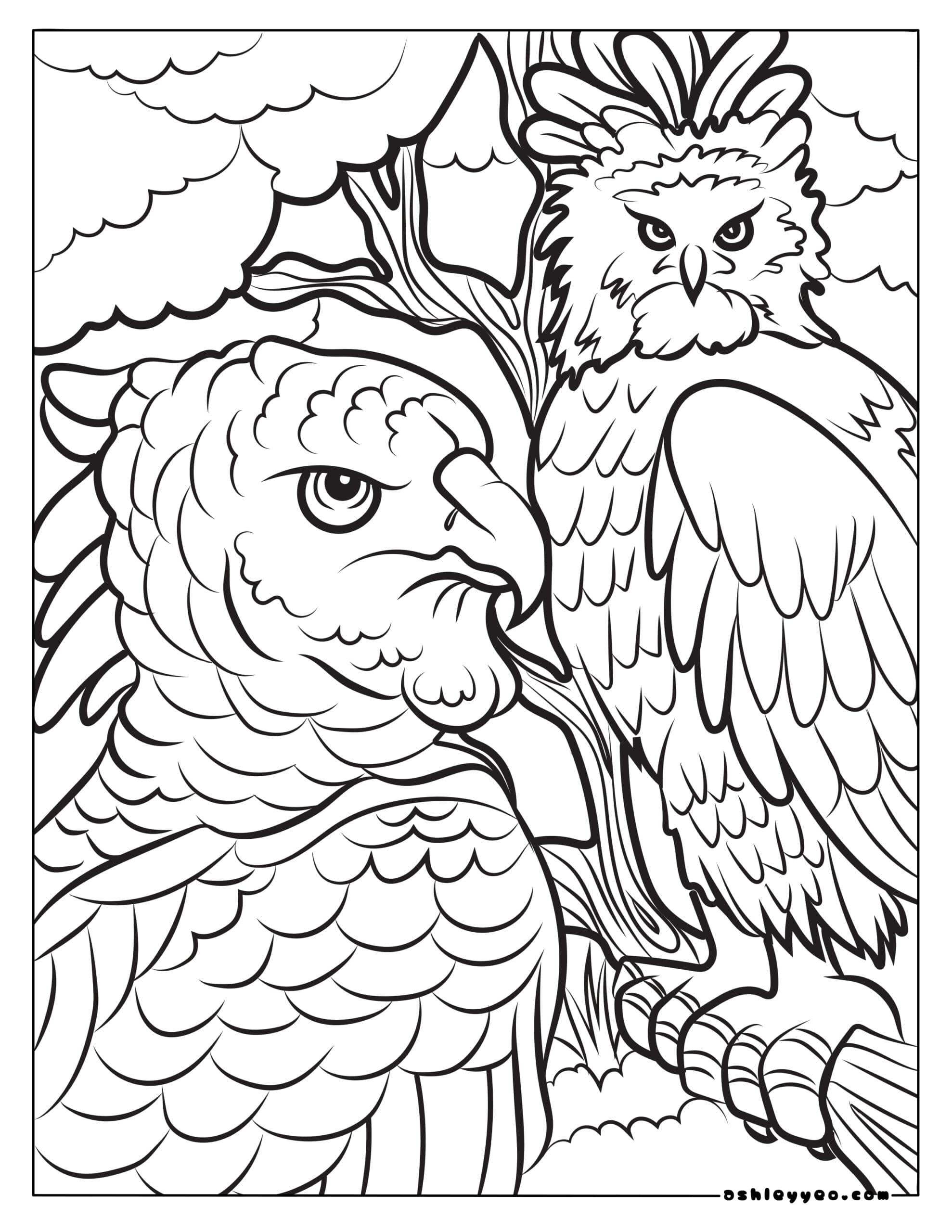 104 Realistic Griffin Coloring Pages Printable 49