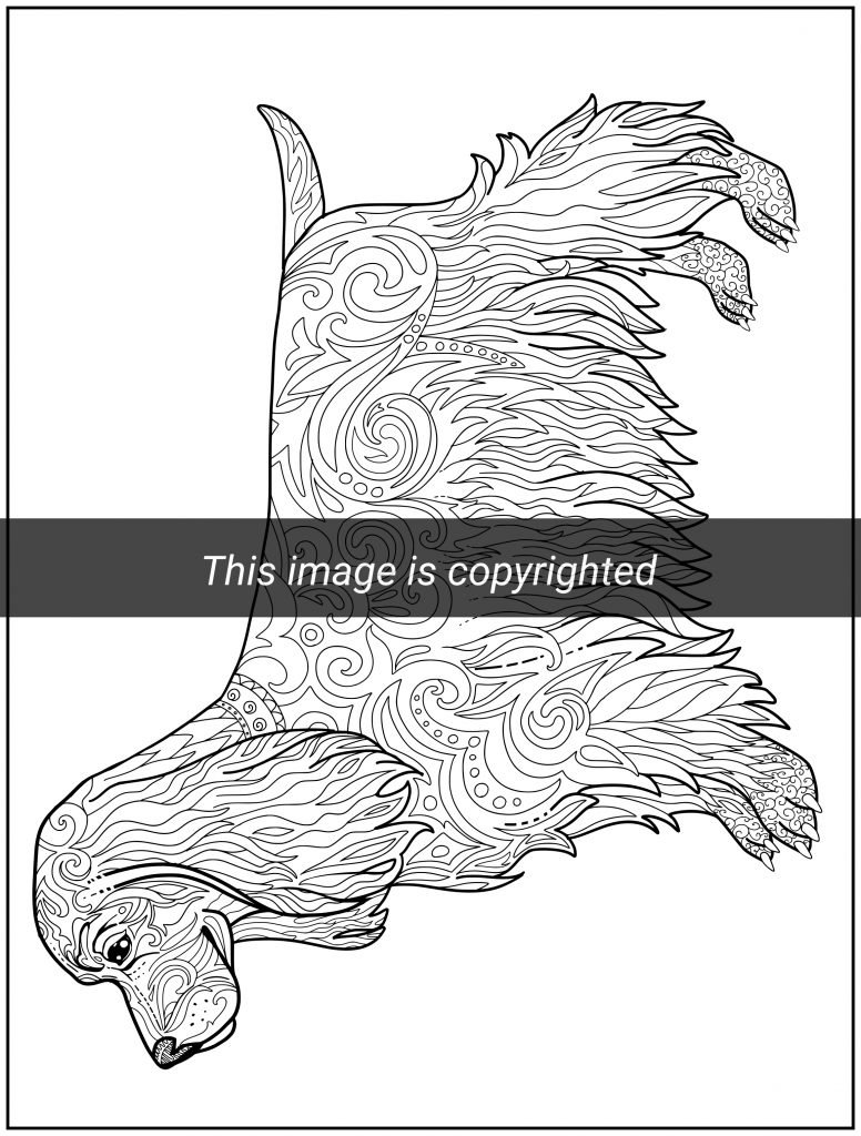 realistic griffin coloring pages printable jpg