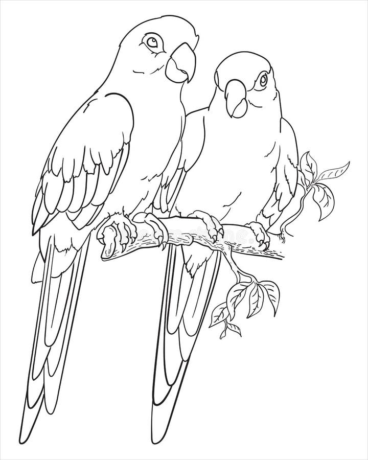 104 Realistic Griffin Coloring Pages Printable 75