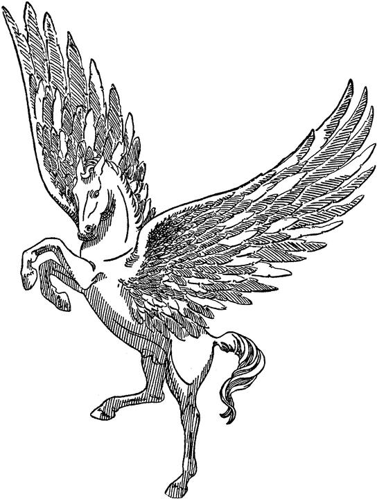 realistic griffin coloring pages printable jpg