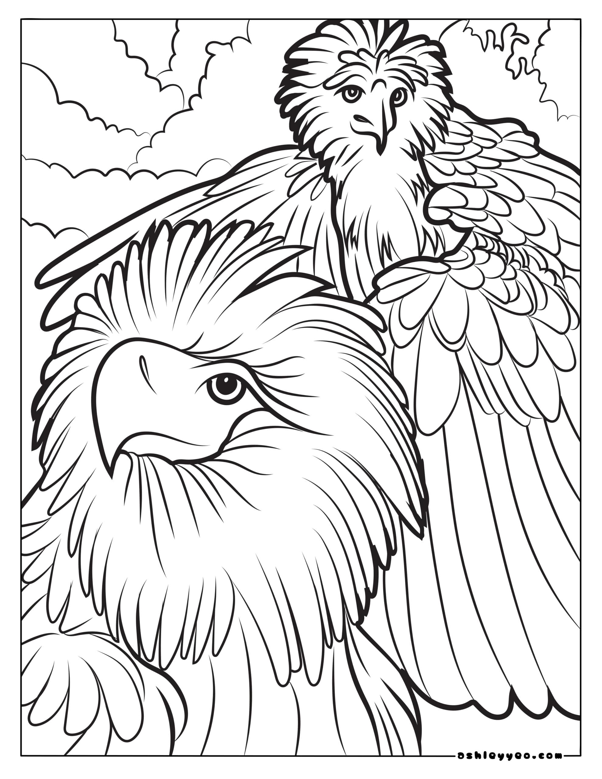 realistic griffin coloring pages printable jpg