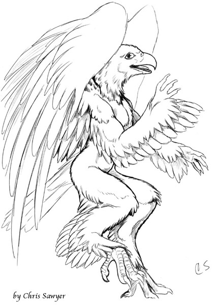 realistic griffin coloring pages printable jpg