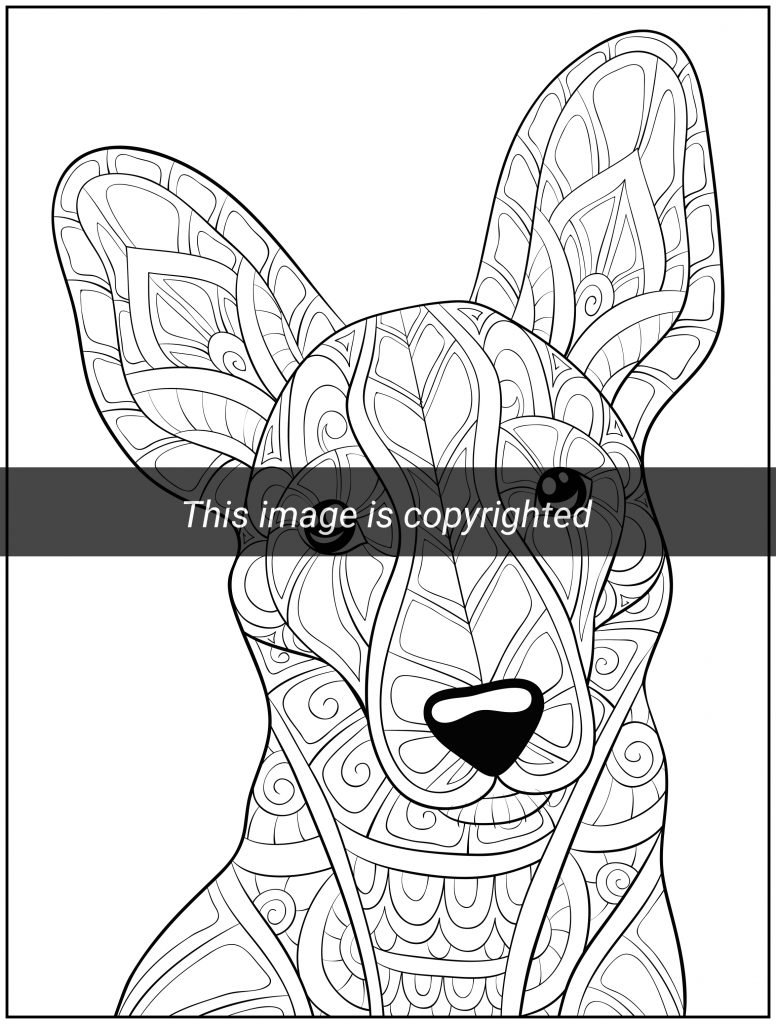 realistic griffin coloring pages printable jpg