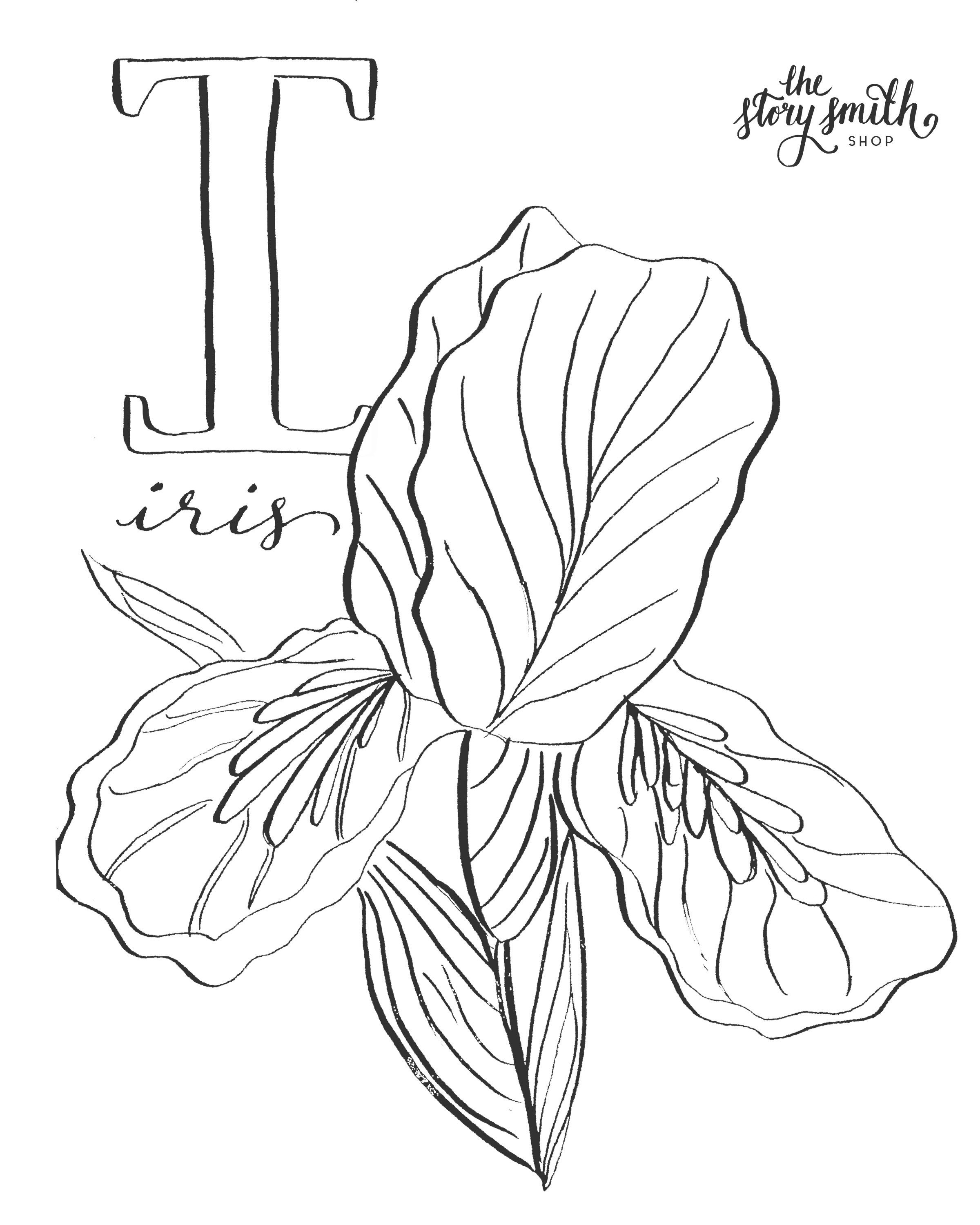 181+ Alphabet Coloring Pages Printable 147