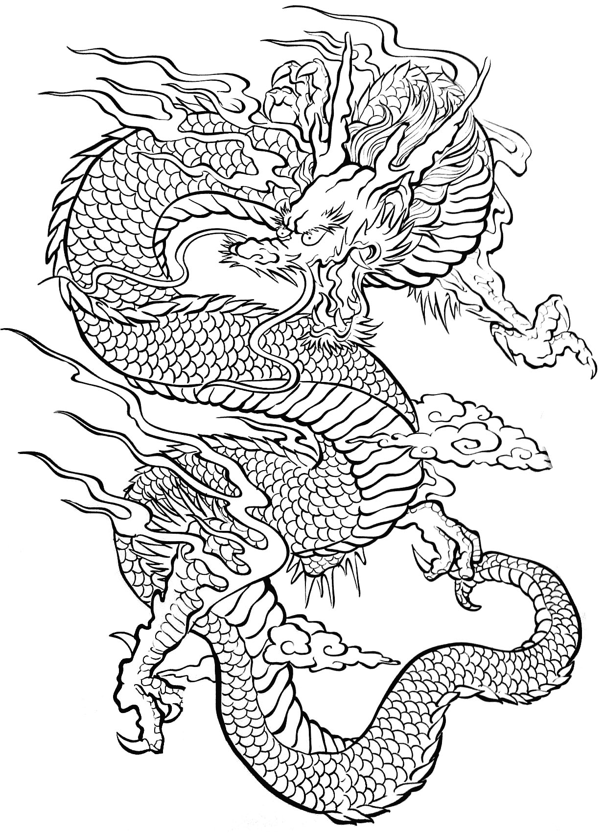 107 Dragon Coloring Pages for Kids Printable 10