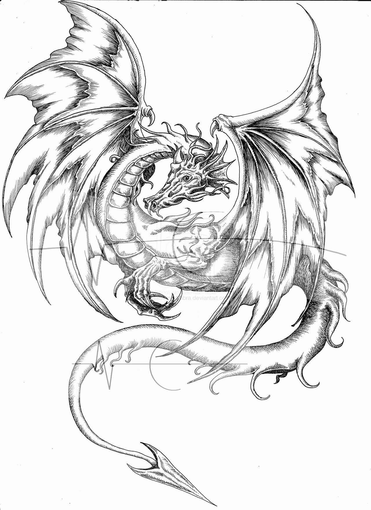 107 Dragon Coloring Pages for Kids Printable 12