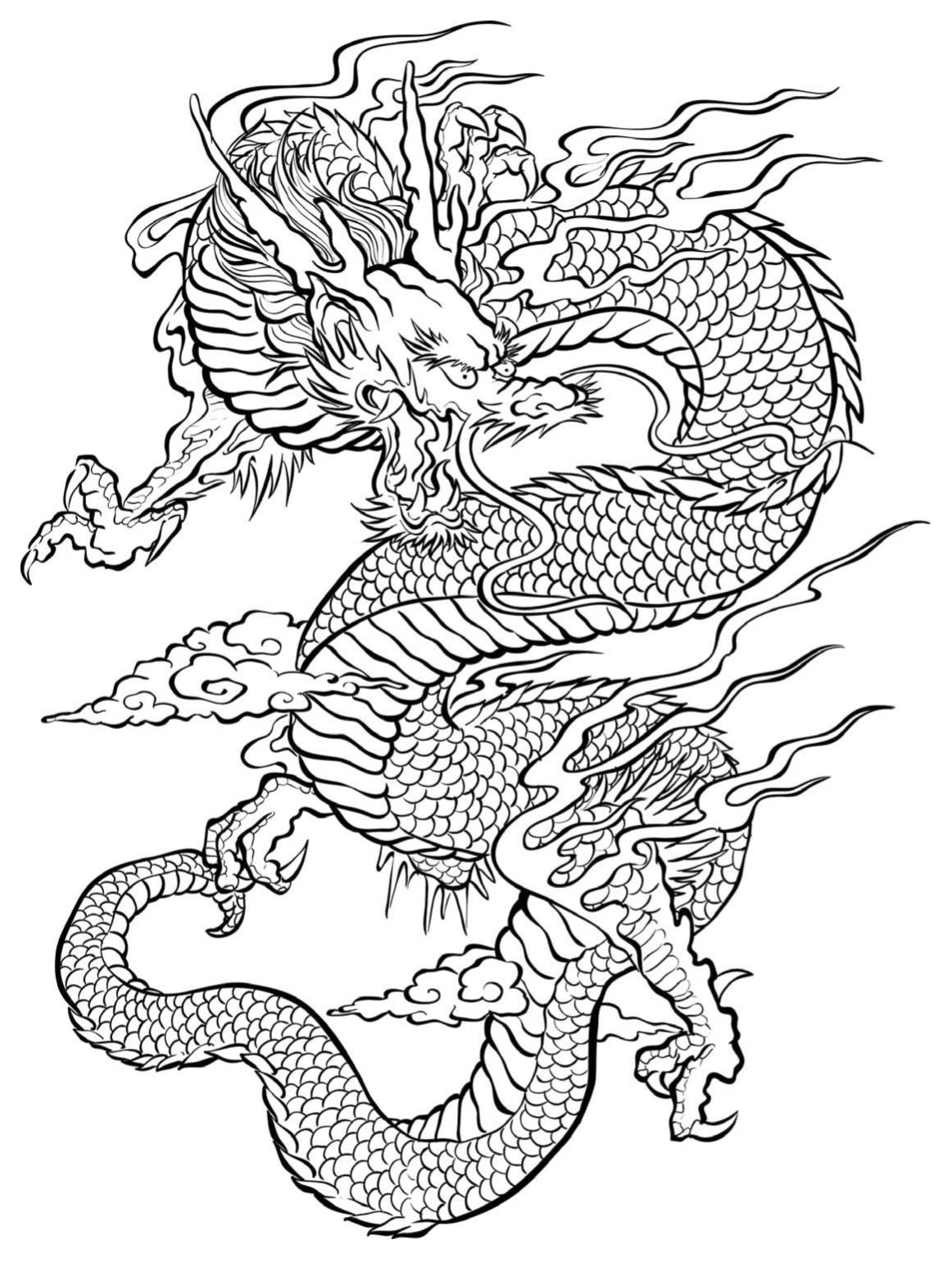 107 Dragon Coloring Pages for Kids Printable 24