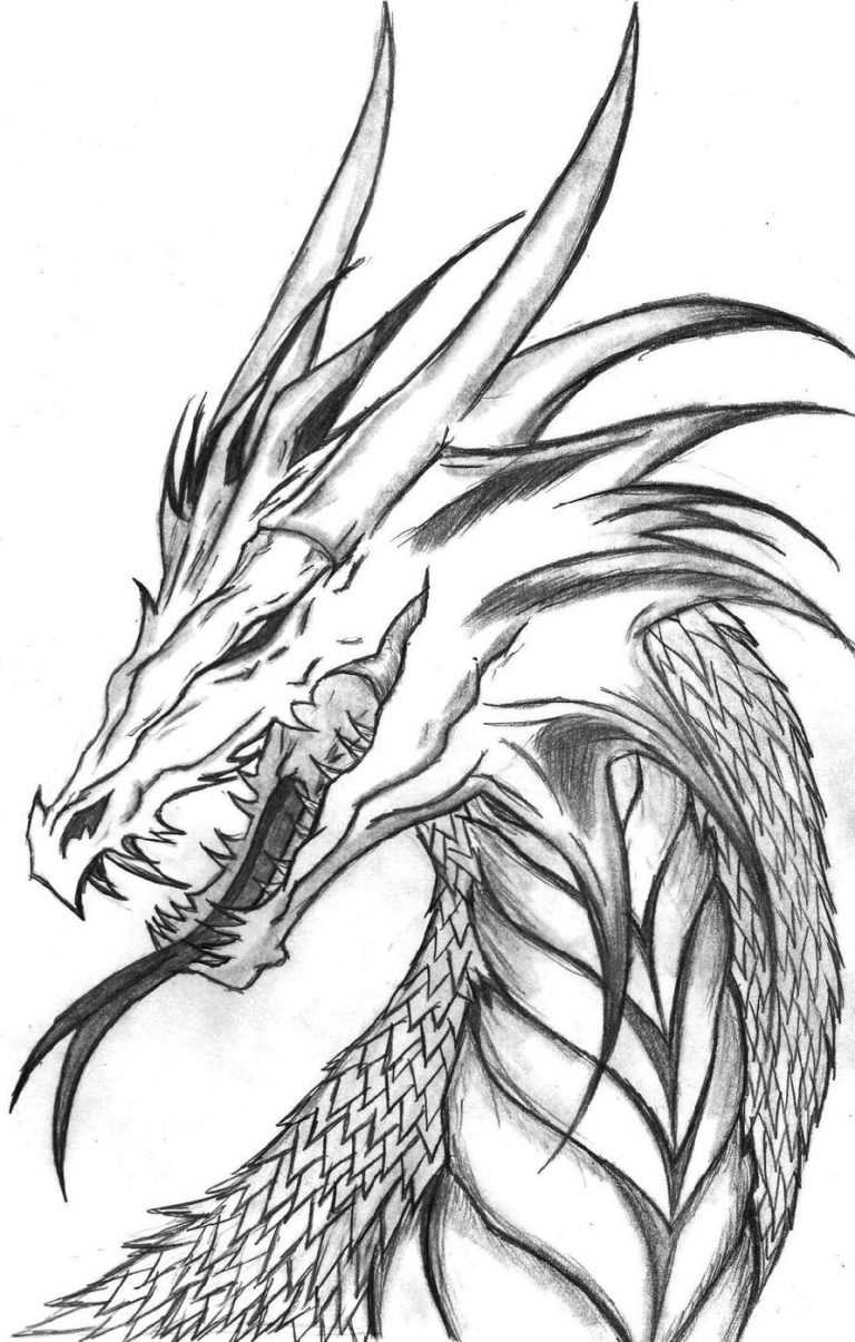 107 Dragon Coloring Pages for Kids Printable 31