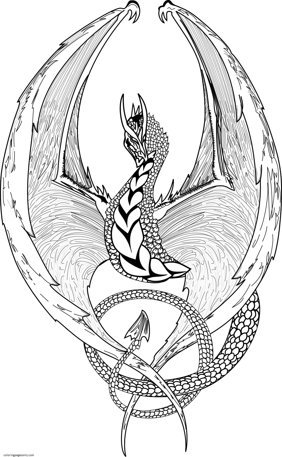 107 Dragon Coloring Pages for Kids Printable 35