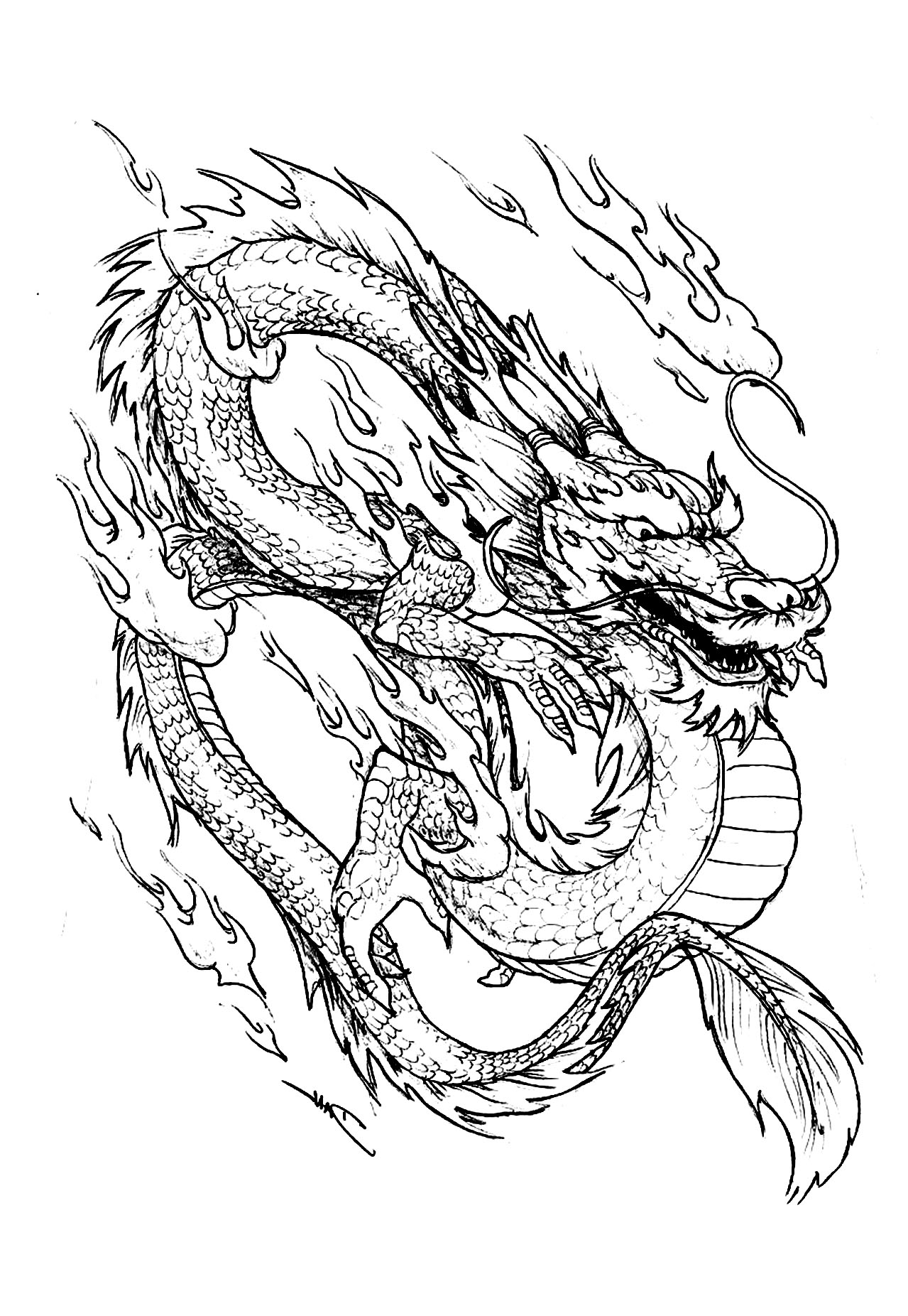 107 Dragon Coloring Pages for Kids Printable 37