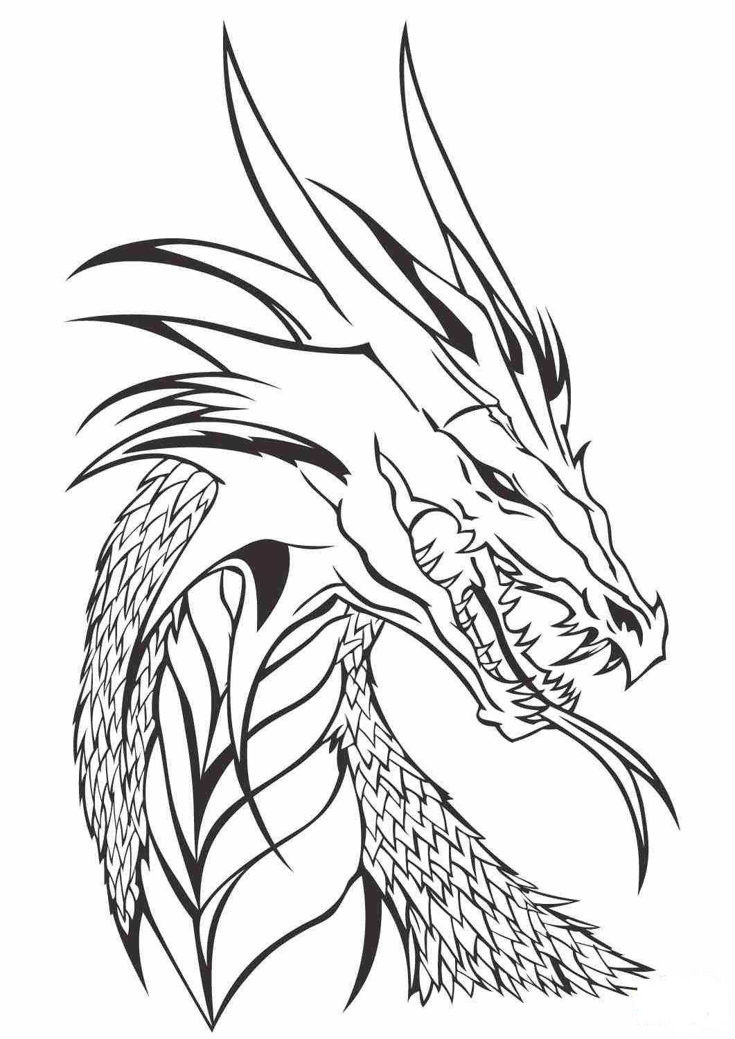 107 Dragon Coloring Pages for Kids Printable 44