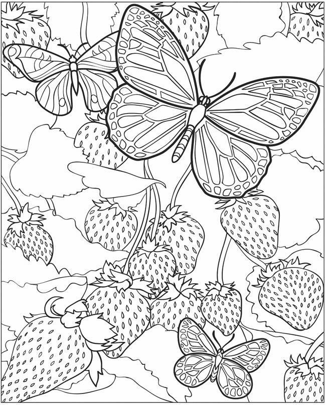 109 Free Funny Coloring Pages for Kids Printable 69