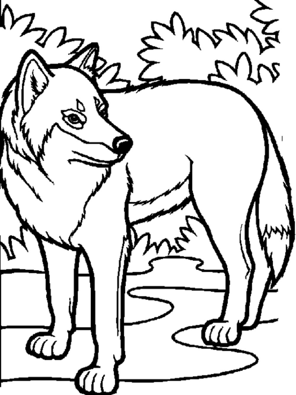 wolf coloring pages for adults printable jpg