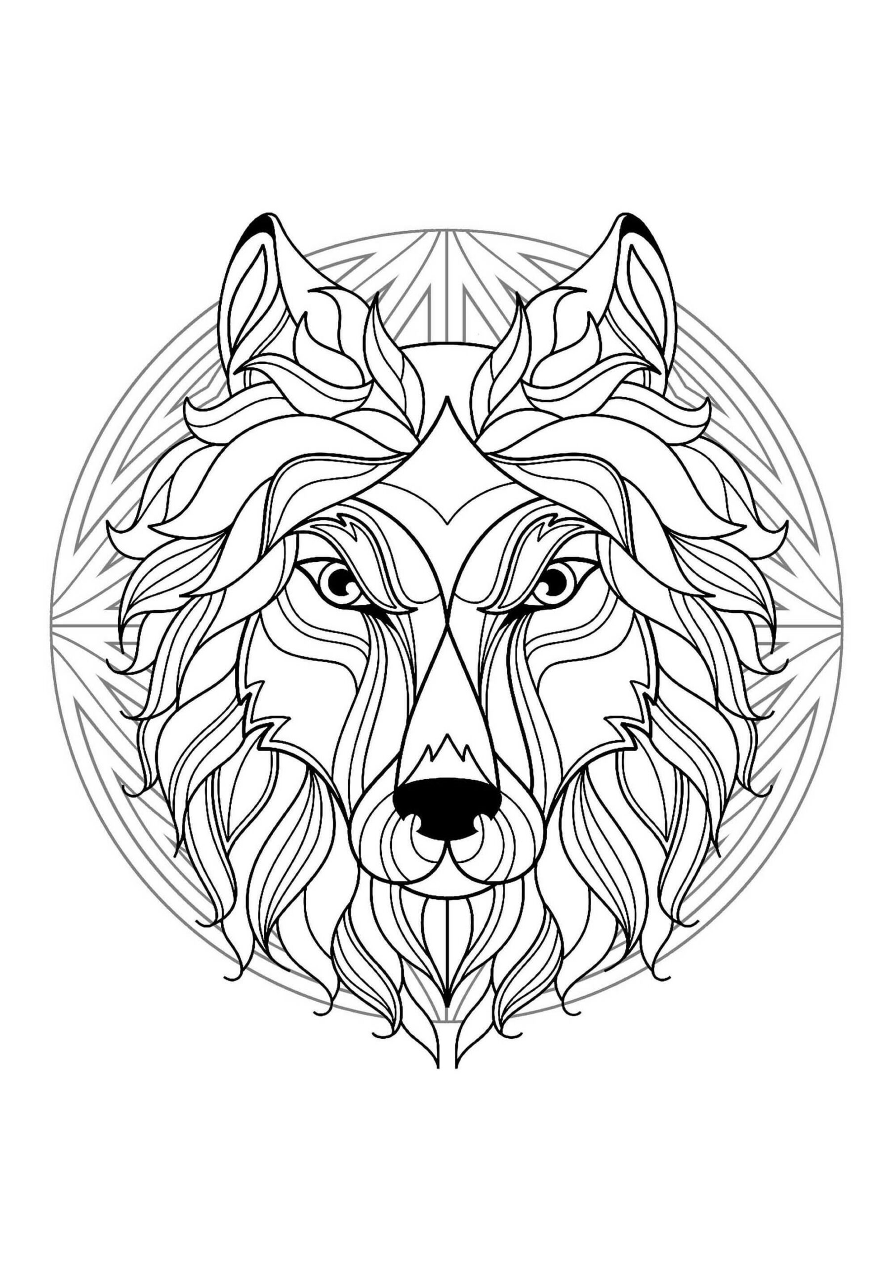 wolf coloring pages for adults printable jpg