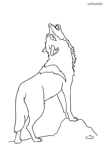 125 Wolf Coloring Pages for Adults Printable 123