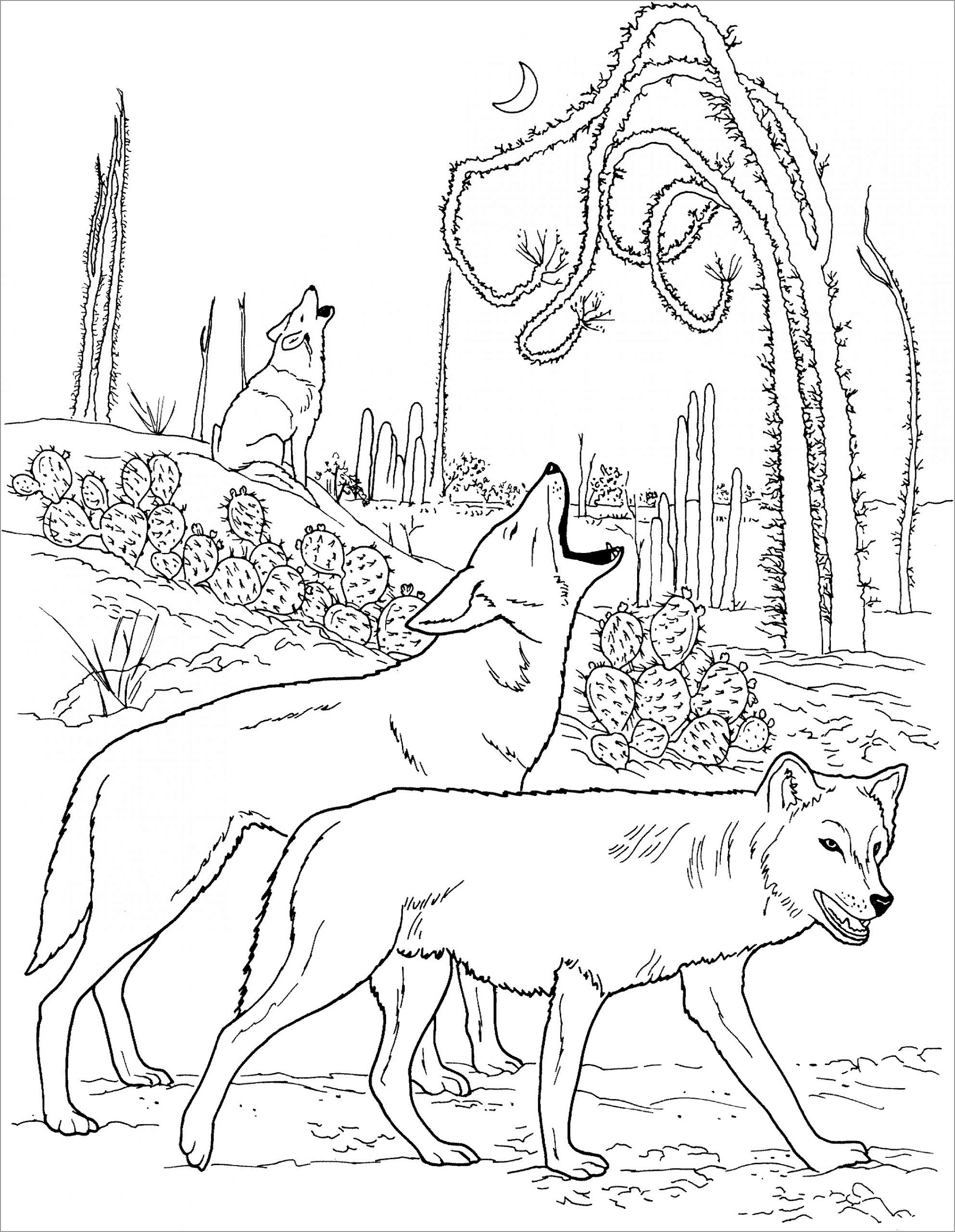 125 Wolf Coloring Pages for Adults Printable 2