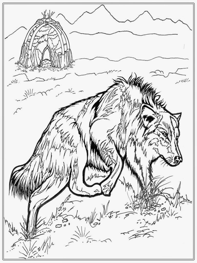 wolf coloring pages for adults printable jpg