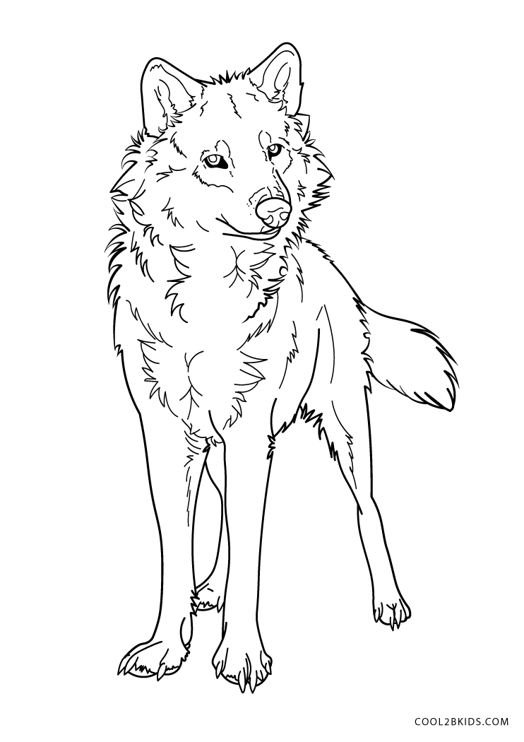 wolf coloring pages for adults printable jpg