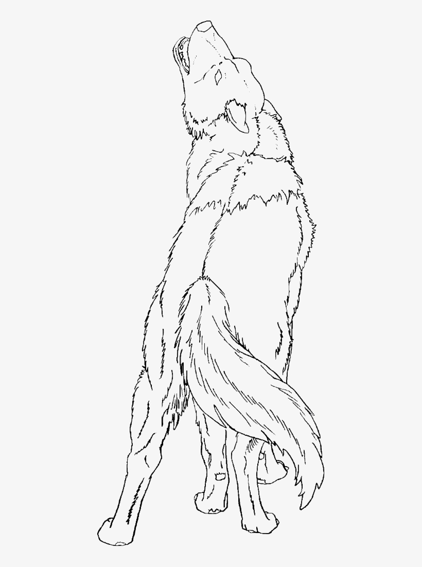 wolf coloring pages for adults printable jpg