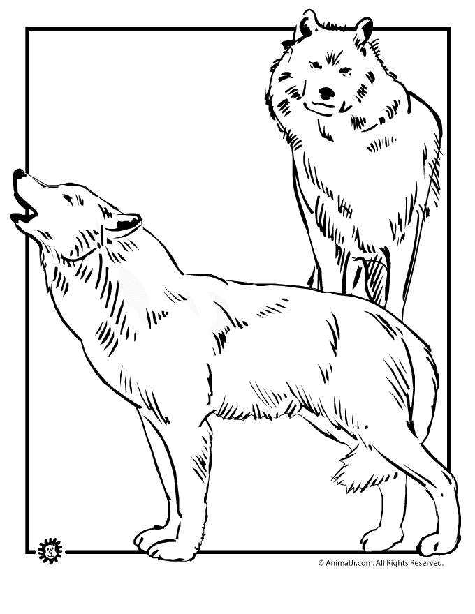 125 Wolf Coloring Pages for Adults Printable 63